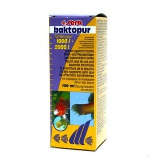 Sera Baktopur Sera Baktopur