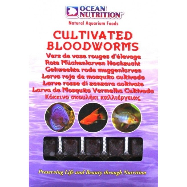 Ocean Nutrition Cultivated Bloodworms