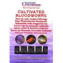 Ocean Nutrition Cultivated Bloodworms