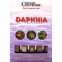 Ocean Nutrition Daphnia