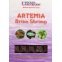 Ocean Nutrition Artemia