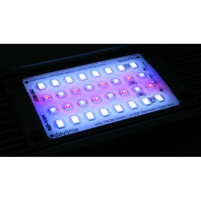 Daytime Matrix Module UBRW