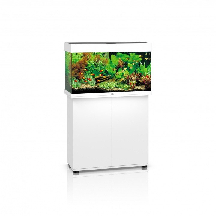 Juwel Aquarium LED Rio 180 avec Meuble - Boutique en ligne Olibetta