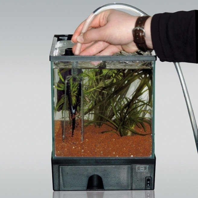Set aspirateur professionnel pour aquarium avec grattoir à algues