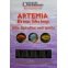 FFF Artemia ail spiruline