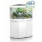 Gamme d'aquarium Juwel Trigon LED : aquarium de coin