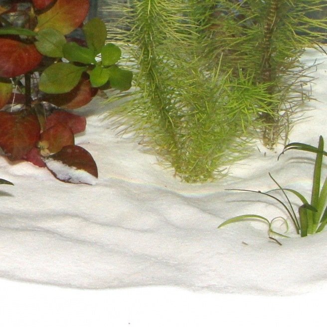 Sable de Loire 25 kg sable naturel granulométrie 1 mm pour la décoration d' aquarium - Sol pour aquarium/Sables et Graviers naturels -  -  Aquariophilie