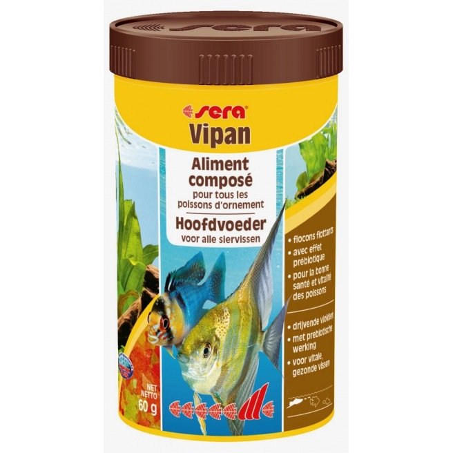 Sera Vipan en paillettes