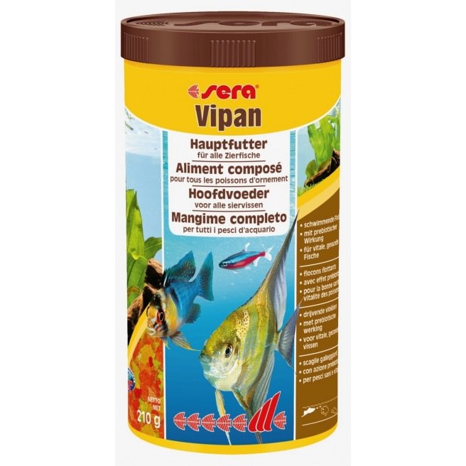 Sera Vipan en paillettes