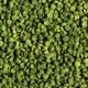 Sera Granugreen - Alimentation pour cichlides herbivores