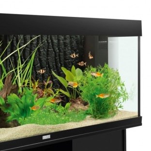 Décor 3D - Juwel STR 600 - Plaque de fond Décor 3D - Juwel STR 600 - Plaque de fond