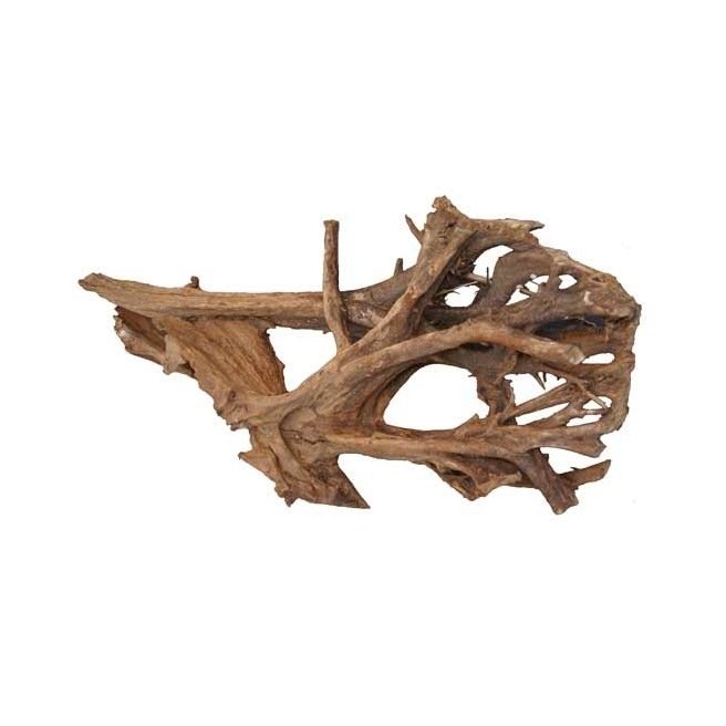 Mangrove XL 70-80cm