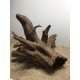 Racine naturelle et branchue Corbo Root