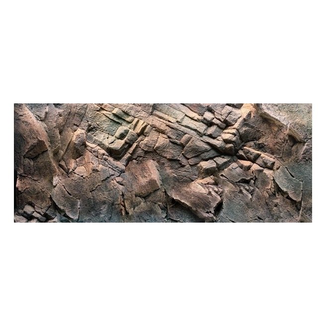 Juwel Poster 1 rocher et plantes