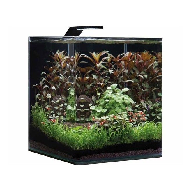 Dennerle Nano Cube Basic