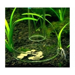 GLAS - Coupelle de nourrisage GLAS - Coupelle de nourrisage