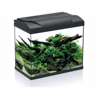 vloeiend bellen Overvloed Aquariums de petite taille & Starter kit