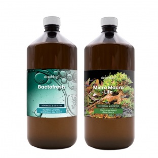 Bactérie pour eau d'aquarium Sera nitrivec, 100ml