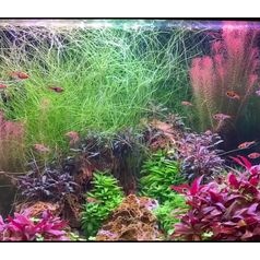 Accessoires de nettoyage pour aquarium