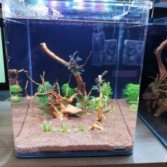 Accessoires de nettoyage pour aquarium