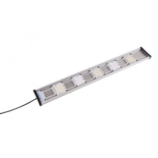 DayTime Cluster 65cm 20 watts Neutral White