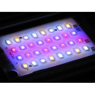 Daytime Matrix module SLF