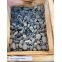 Dupla Ground Nature Black Pebbles 8-16mm
