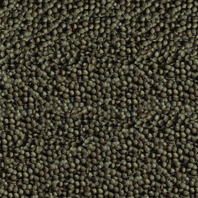 Sera Goldy Color Spirulina en granules