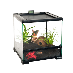 Terrarium en verre HabiStat Terrarium en verre HabiStat