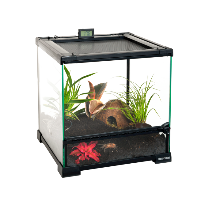 Terrarium en verre HabiStat