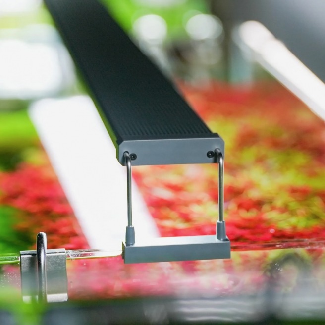 Chihiros B Serie Chihiros B Serie