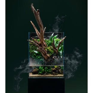 UNS Foresta Paludarium UNS Foresta Paludarium