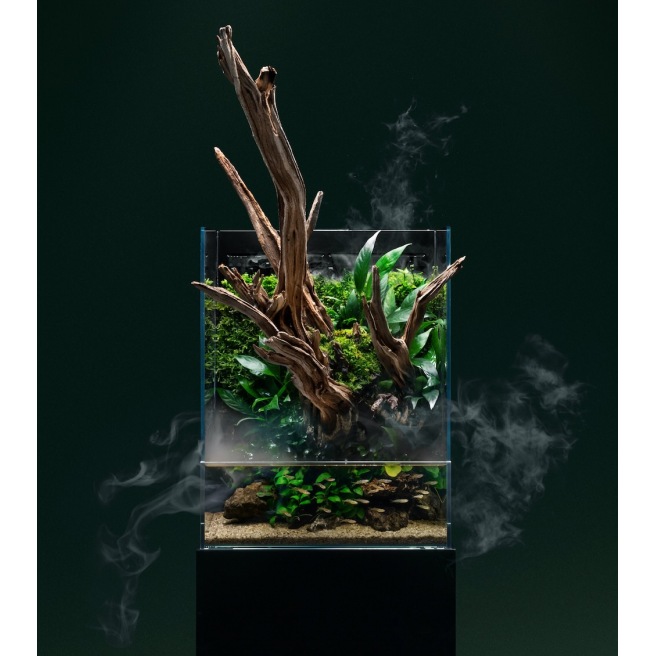 UNS Foresta Paludarium