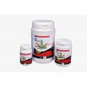 Bassleer Biofish Food CBD