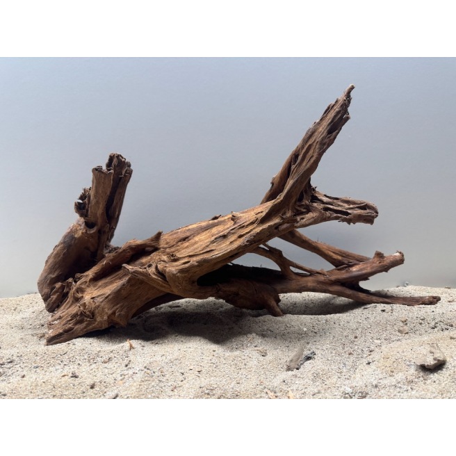 Racine de Mangrove 50 à 70cm Racine de Mangrove 50 à 70cm