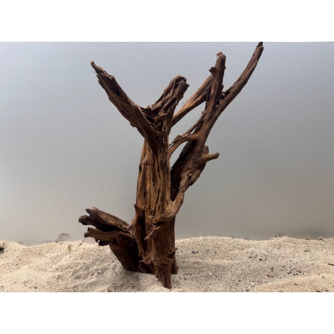 Racine de Mangrove 50 à 70cm Racine de Mangrove 50 à 70cm