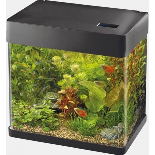 Superfish Panorama - Petit aquarium pour débuter - 3 modèles
