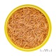 JBL ProNovo Betta Insect Stick