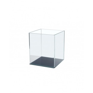 Scalare cube verre cintré
