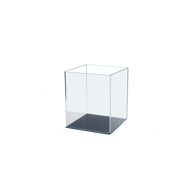 Scalare cube verre cintré