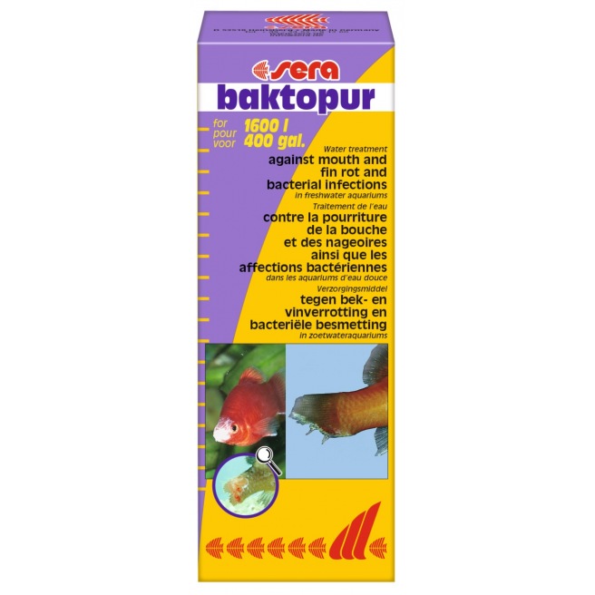 Sera Baktopur