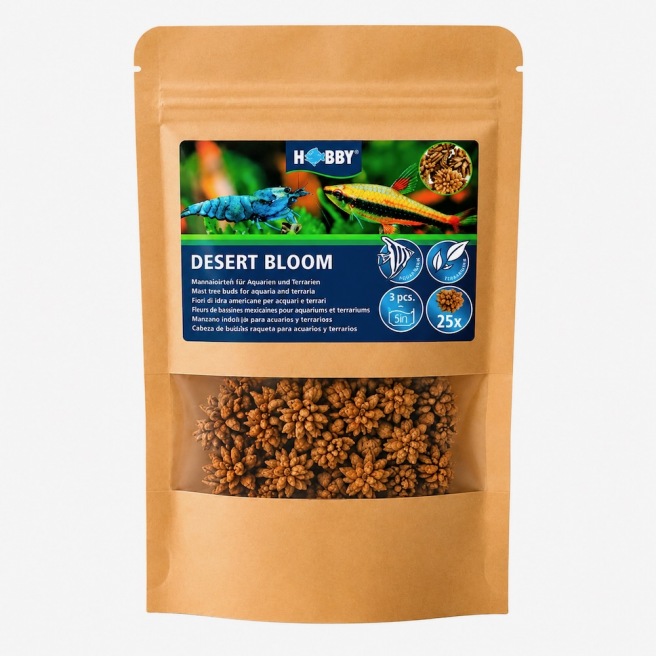 Hobby Desert Bloom 25st