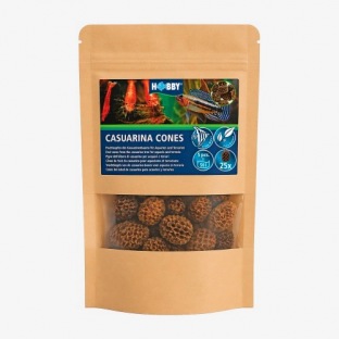 Hobby Casuarina Cones