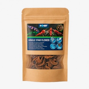Hobby Jungle Star Flowers
