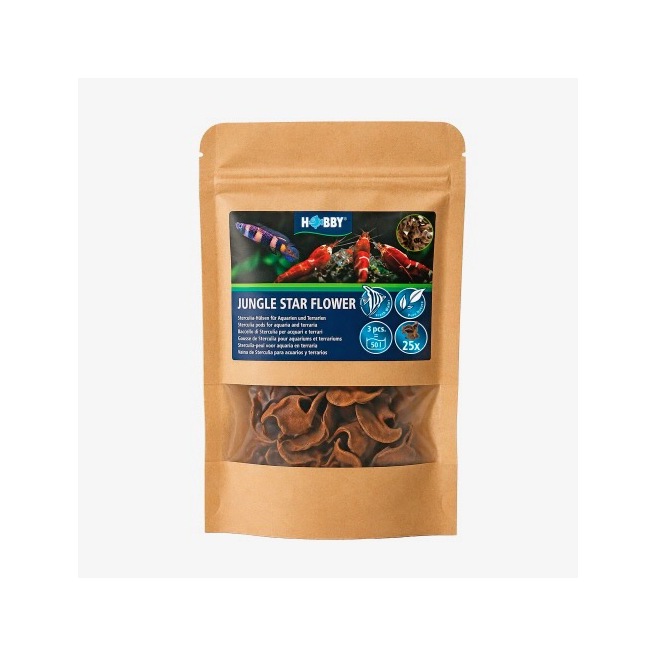 Hobby Jungle Star Flowers