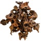 Hobby Jungle Star Flowers