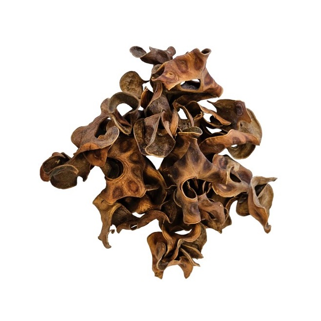 Hobby Jungle Star Flowers
