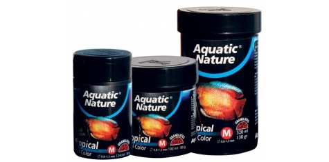 Les différents types de nourriture pour poissons d'aquarium